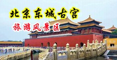 逼逼美女尻逼逼中国北京-东城古宫旅游风景区